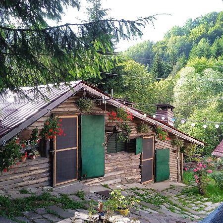 Appartement Zimska Idila à Crni Vrh Extérieur photo